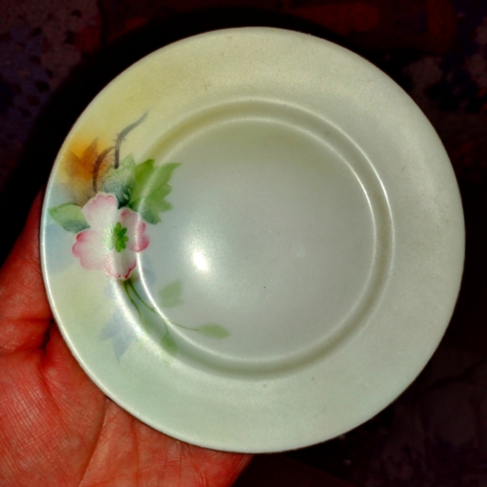 Hand Painted Meito Japan Shabby Chic Plate